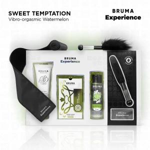 BRUMA XPERIENCE - KIT TENTATION DOUCE VIBRO-ORGASMIQUE PASTÃQUE